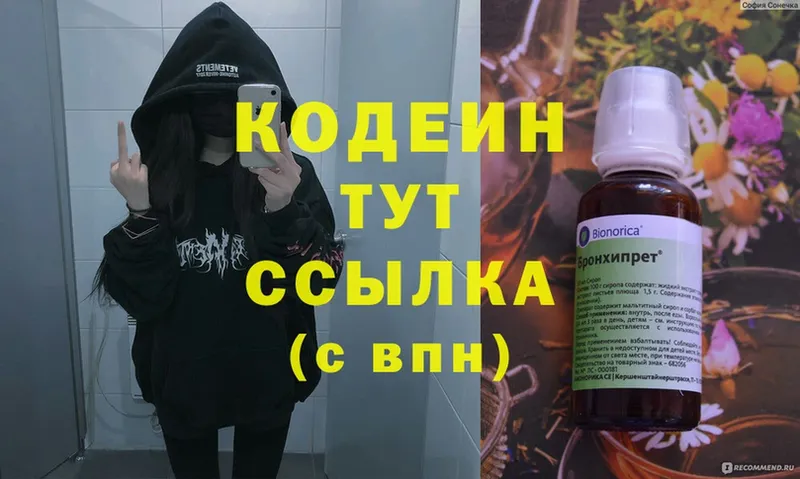 blacksprut ССЫЛКА  Козловка  Codein Purple Drank 